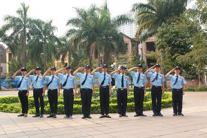 bao-ve-trong-xe-new-sun